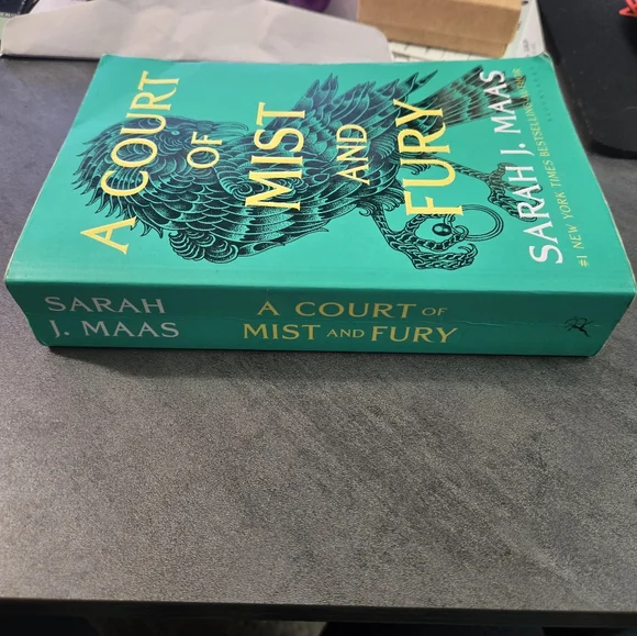 A Court Of Mist And Fury - Picture 4 of 4